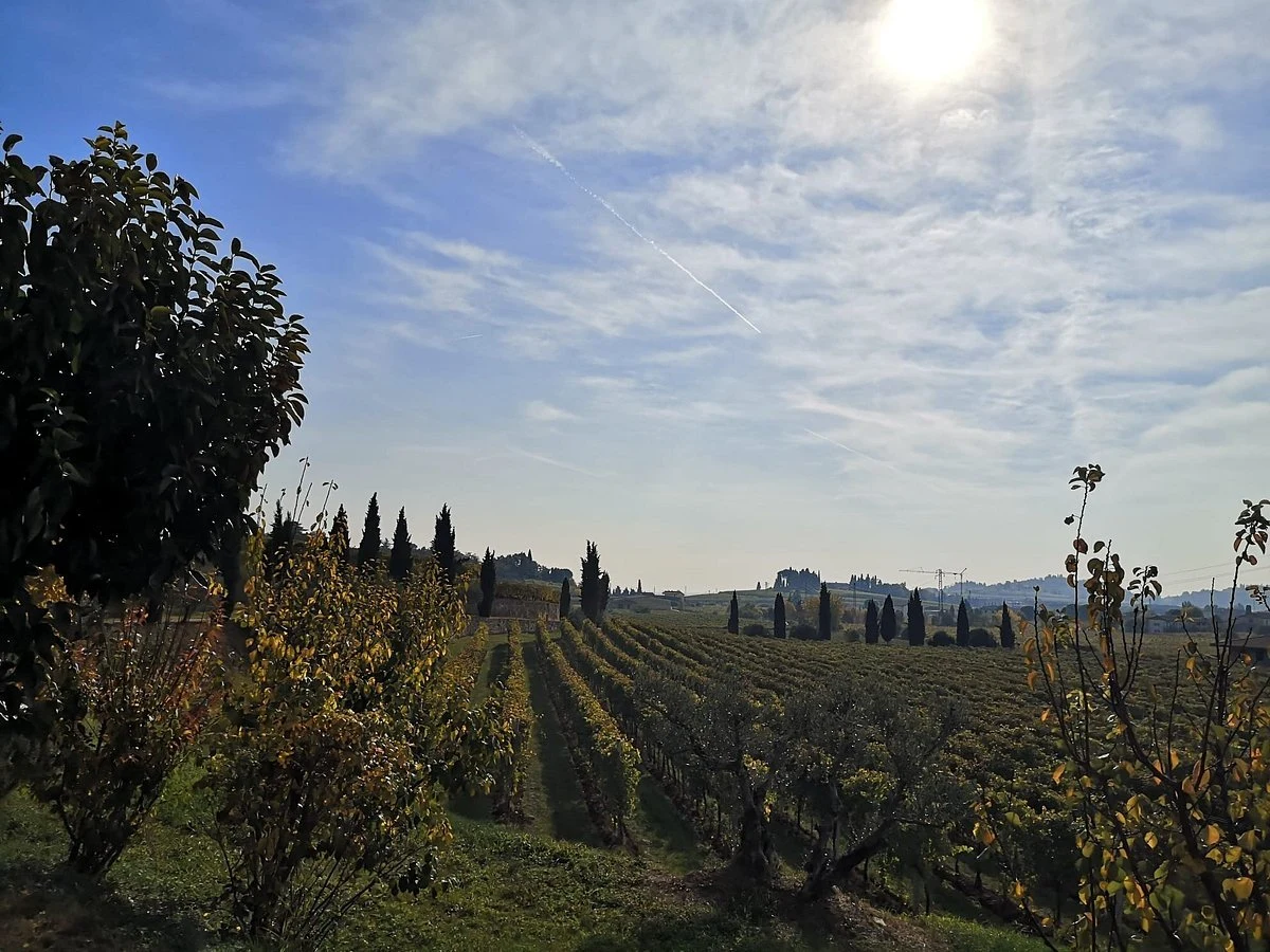 Brunelli