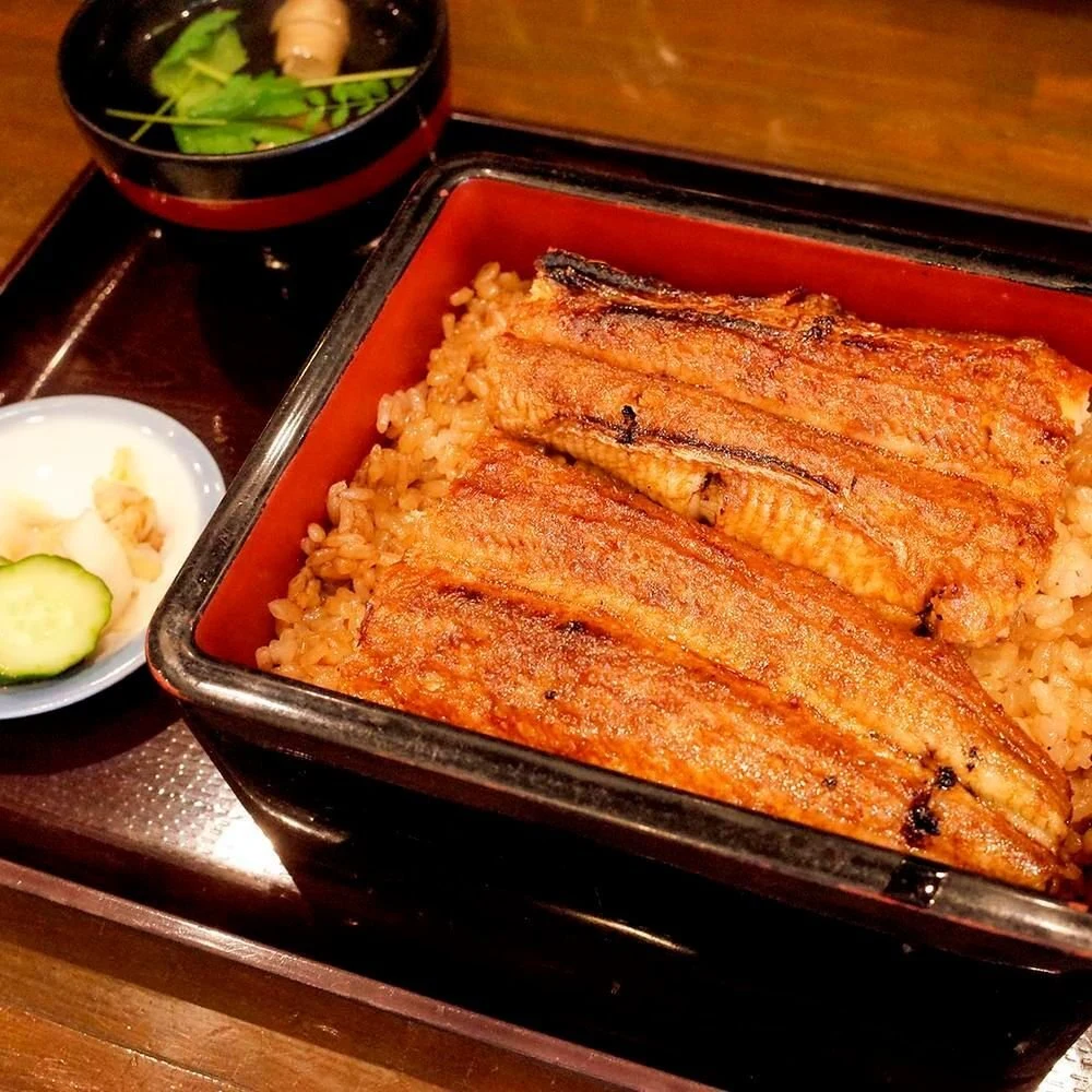 Unagino Toyokawa
