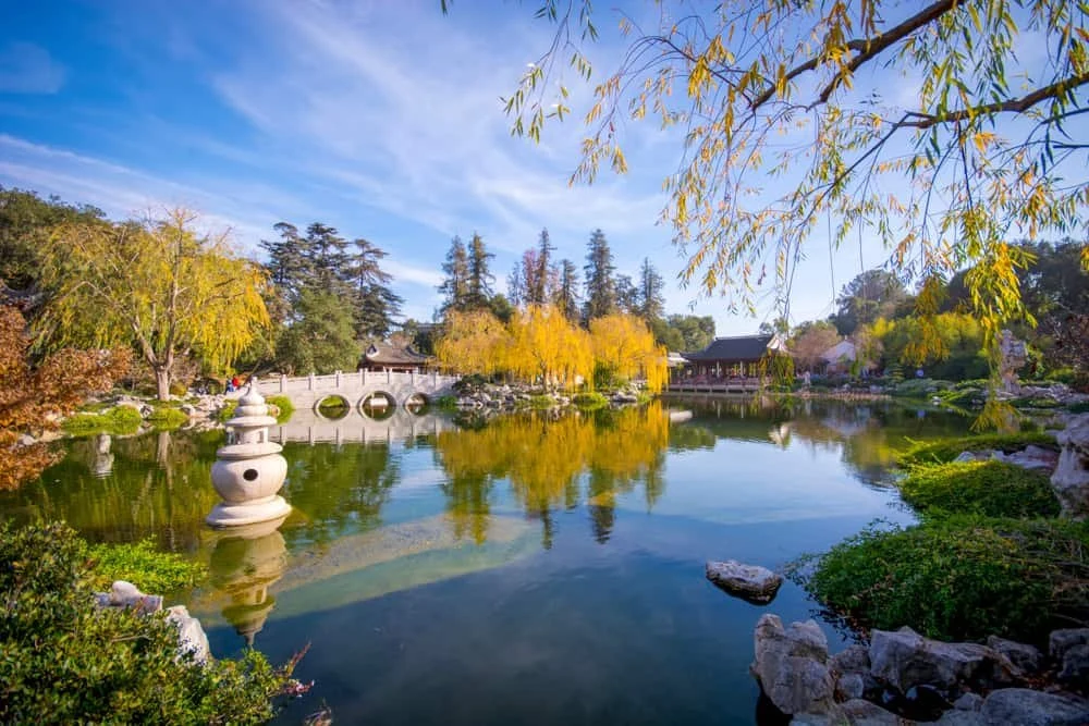 The Huntington Library, Art Museum, and Botanical Gardens