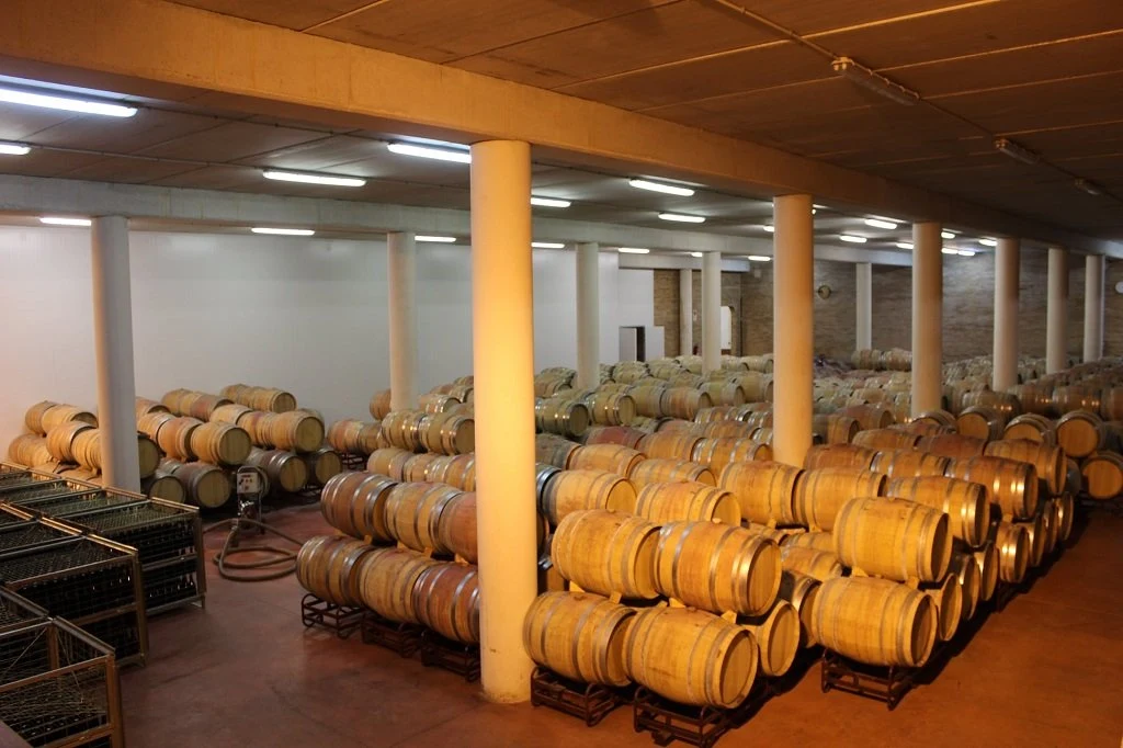 Bodegas y Viñedos Nekeas