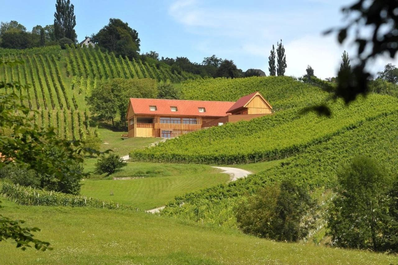 Vino Valdhuber