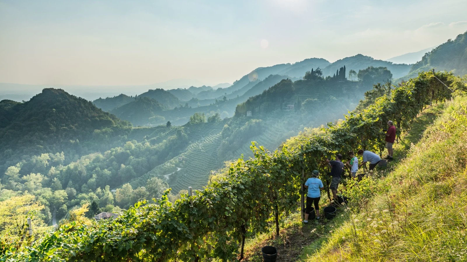 Bortolomiol