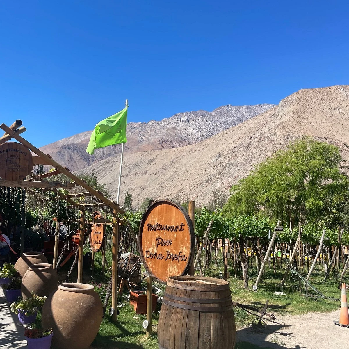 Doña Josefa de Elqui (Pisco)