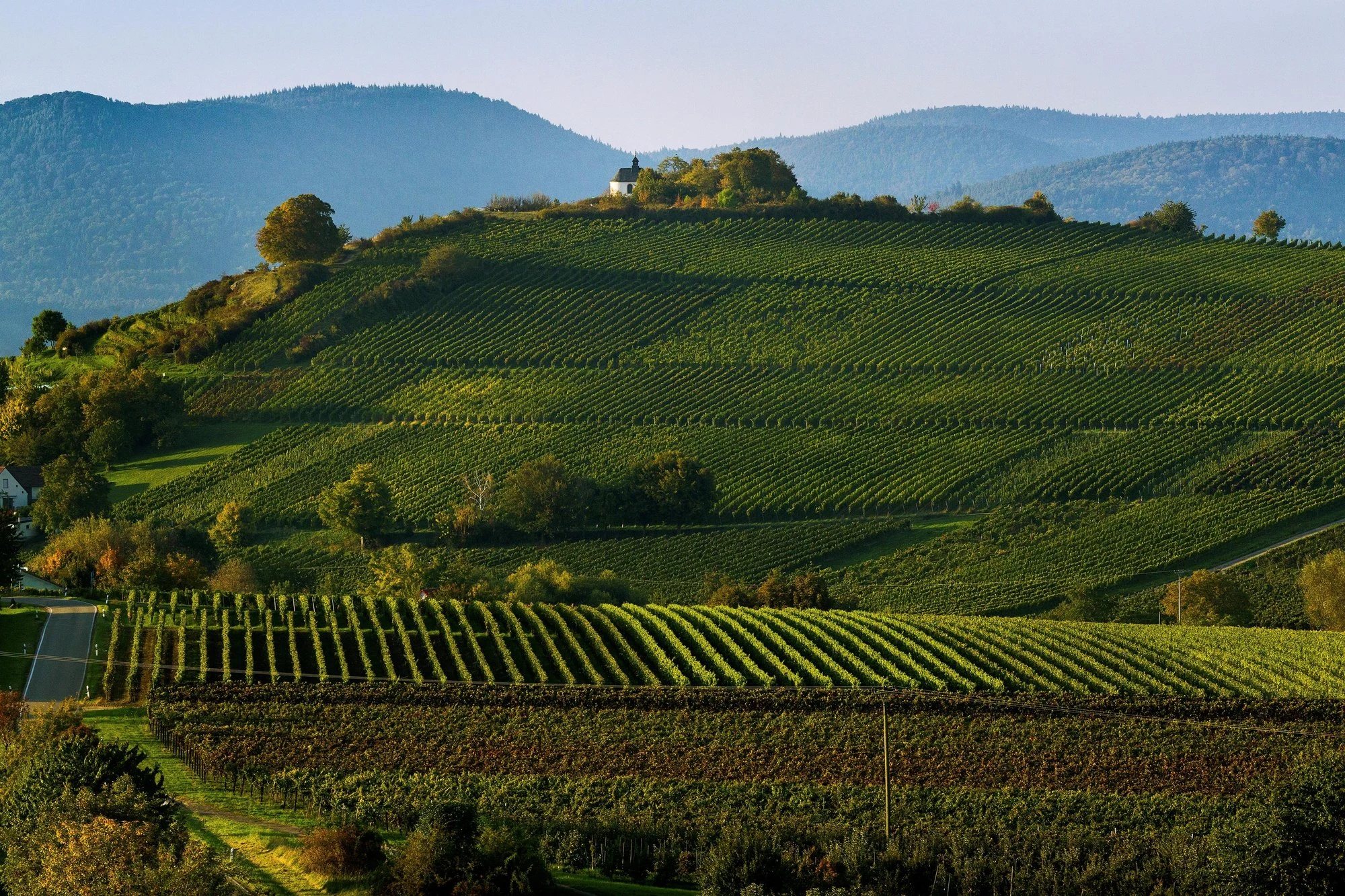 Weingut Kranz