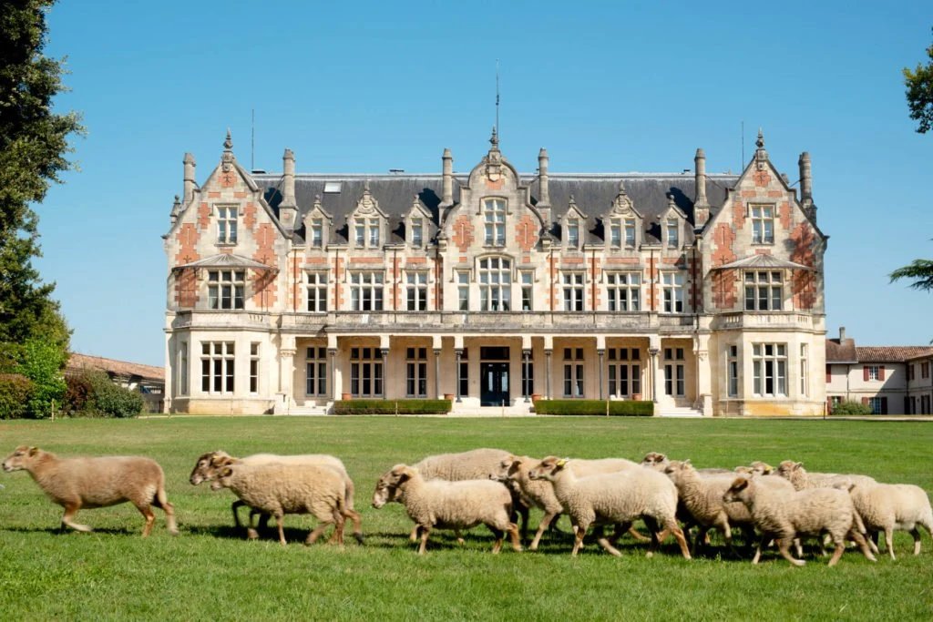 Château Cantegril