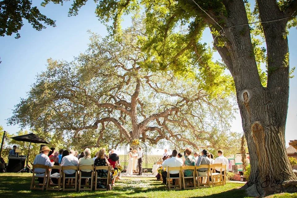 Pomar Junction Vineyard & Winery