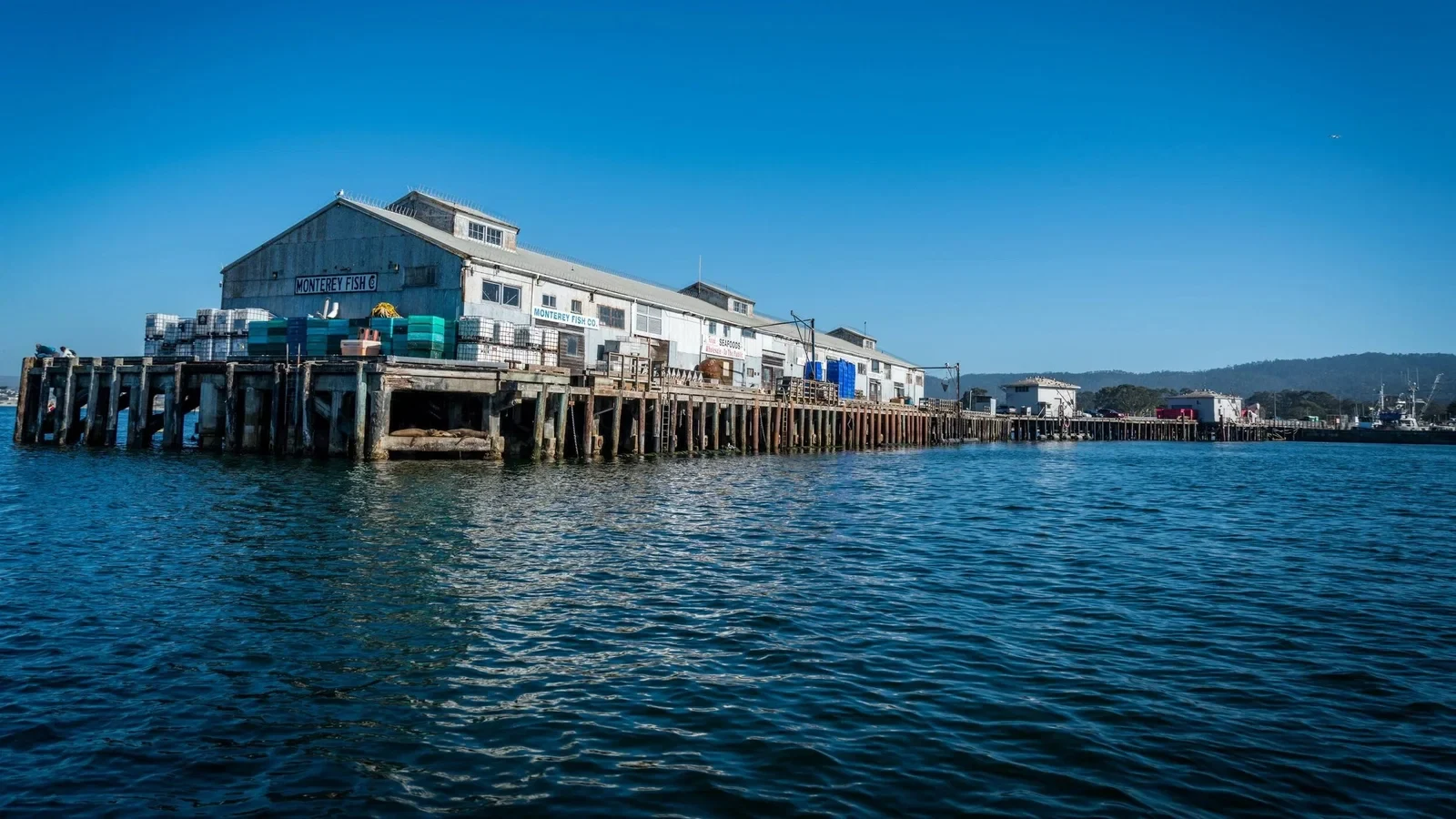 Monterey Abalone Company seafood producer, workshop, farm, or product