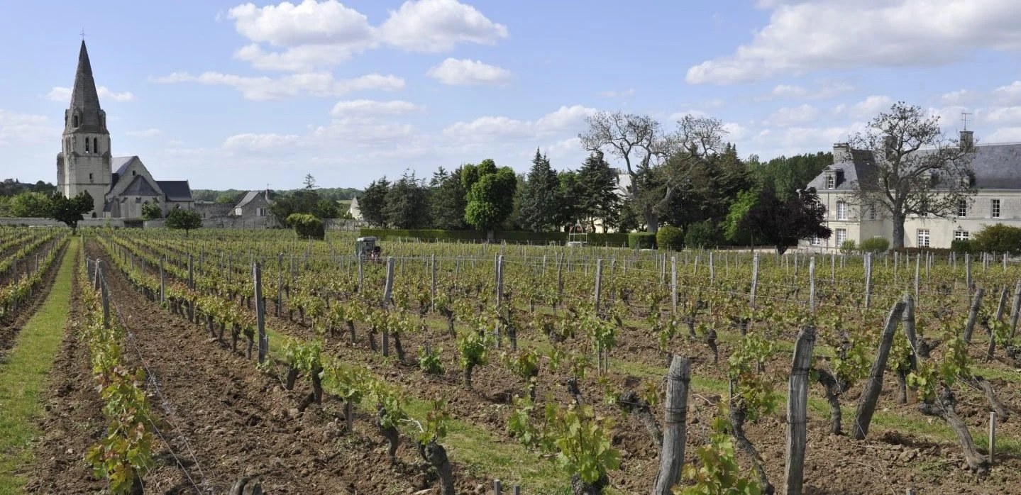 Château de Villeneuve