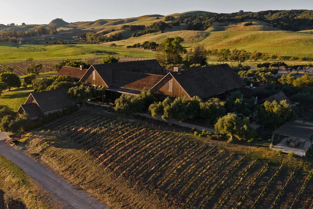 Ram's Gate Winery