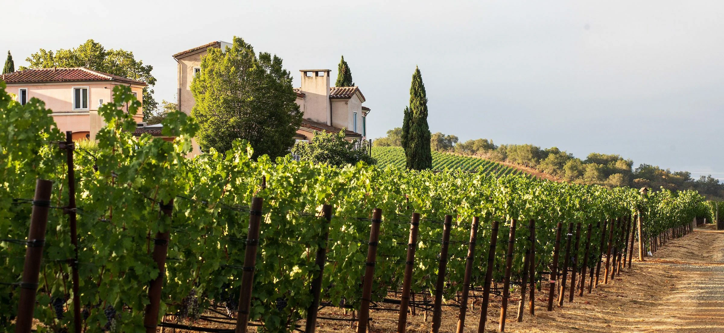 Dalla Valle Vineyards