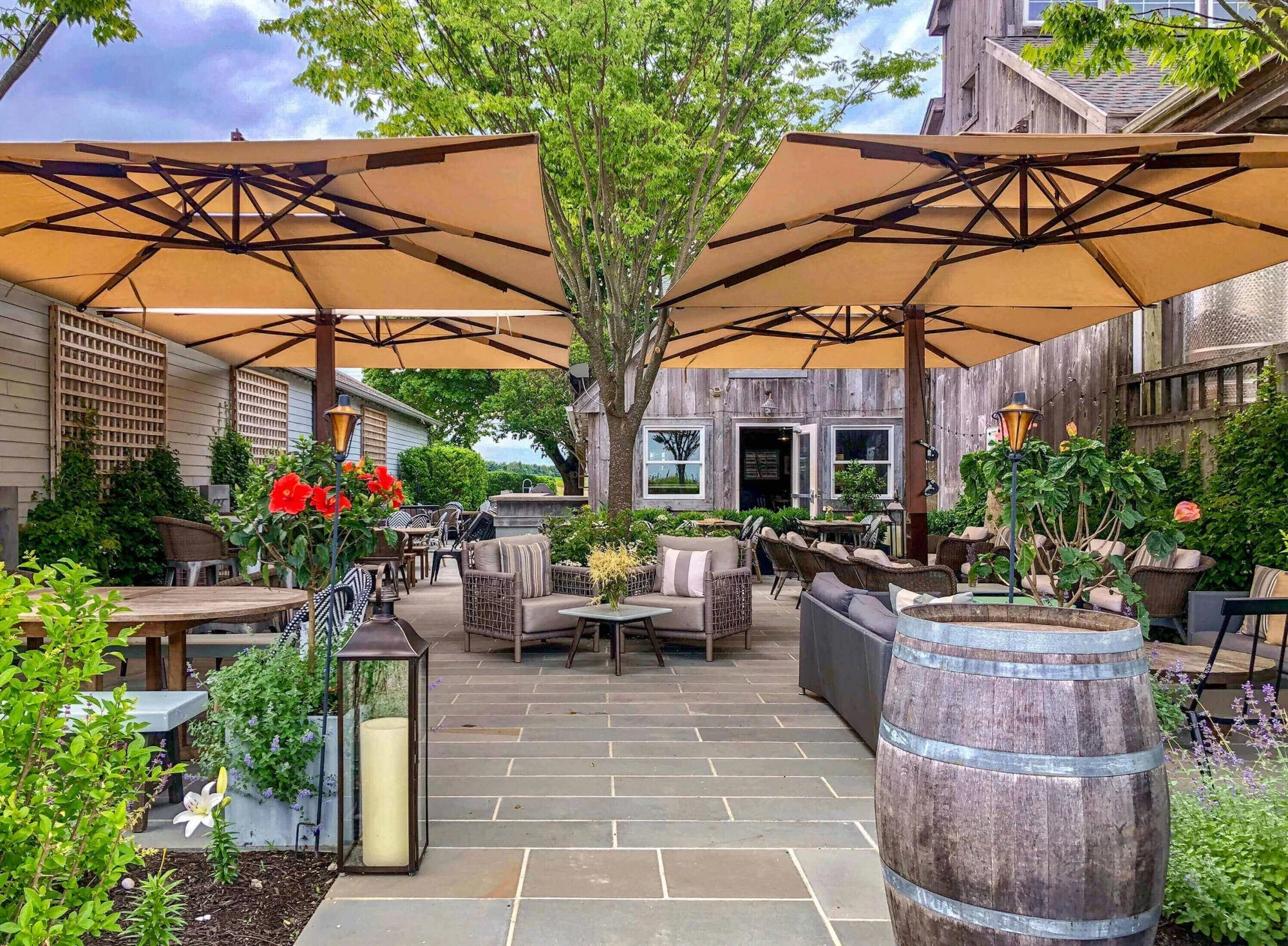 Rose Hill Vineyards (Shinn Estate)