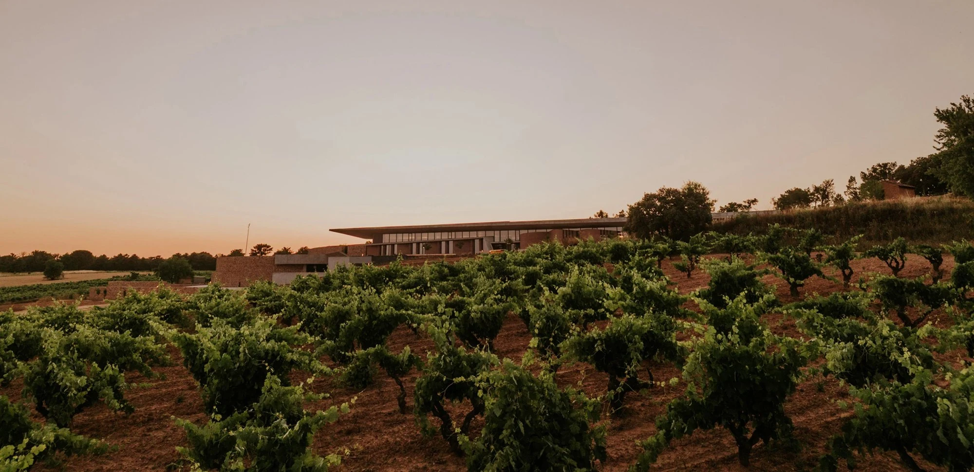Bodegas La Horra