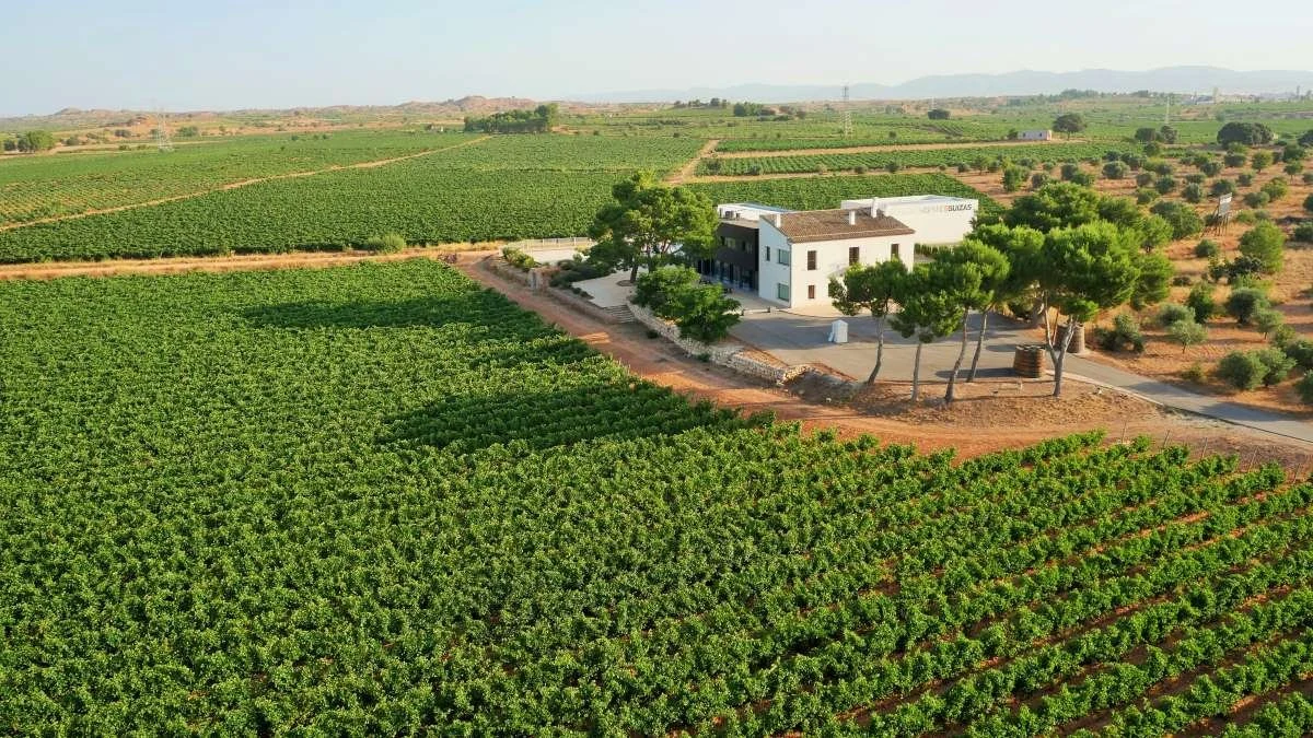 Bodegas y Viñedos Ausàs