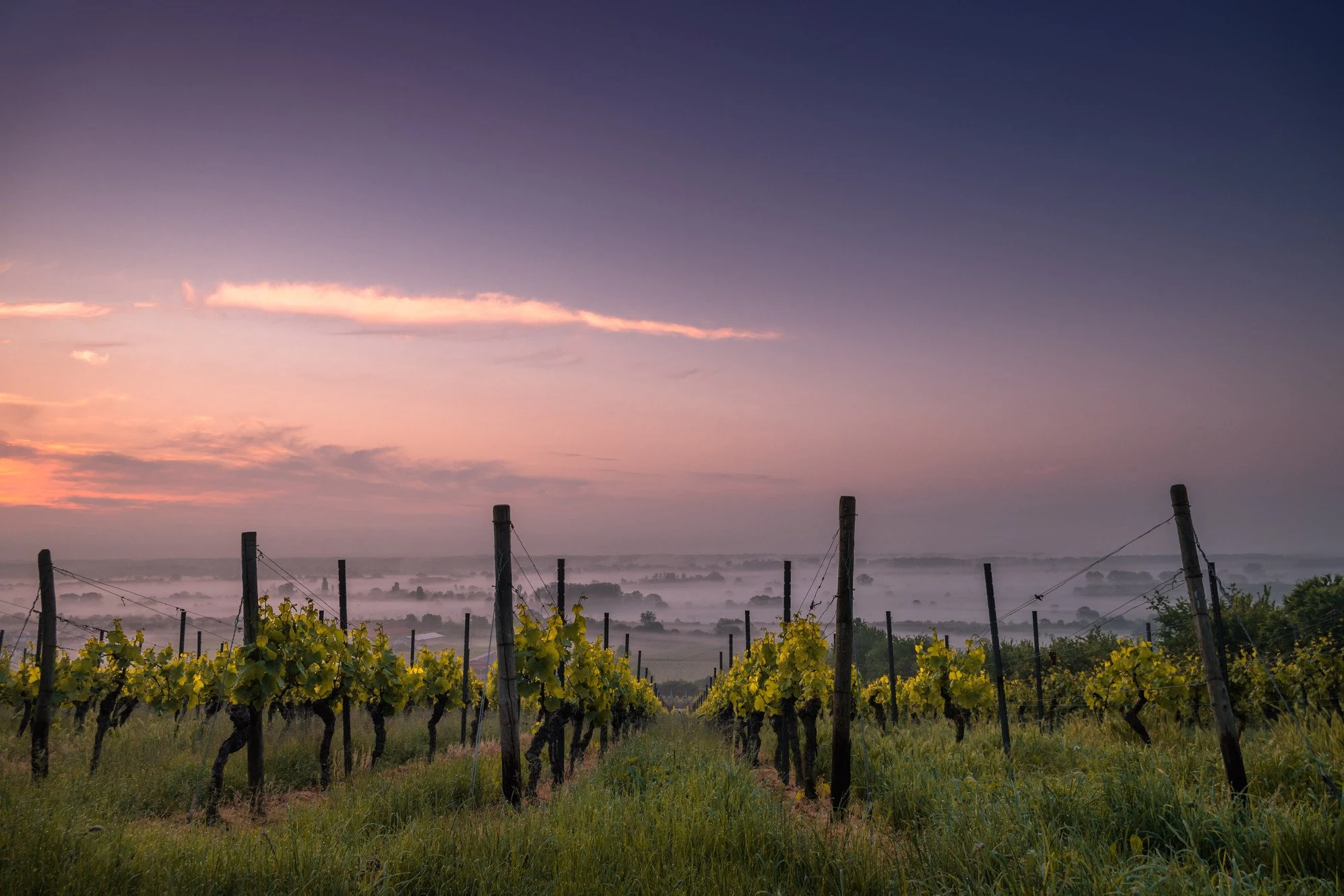 Domaine André Mathieu