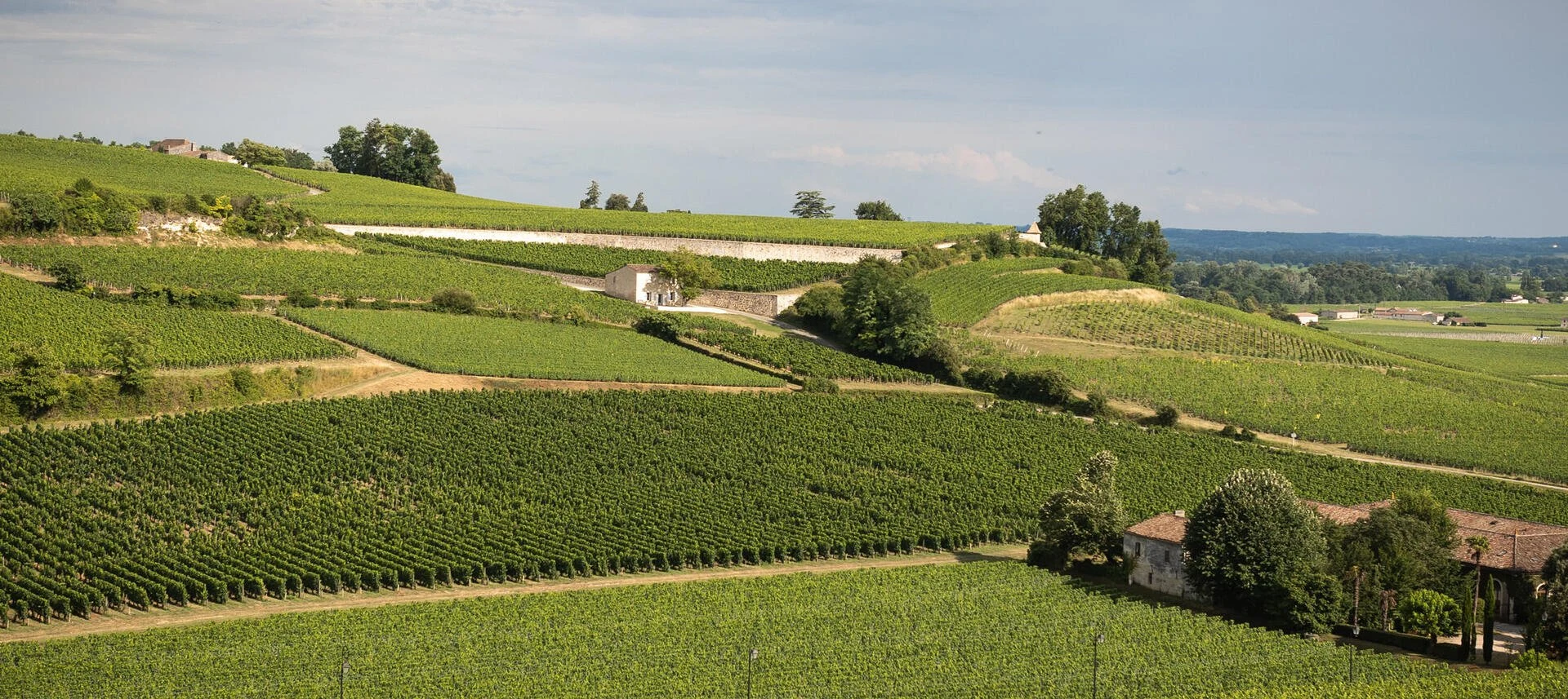 Château Capet-Guillier