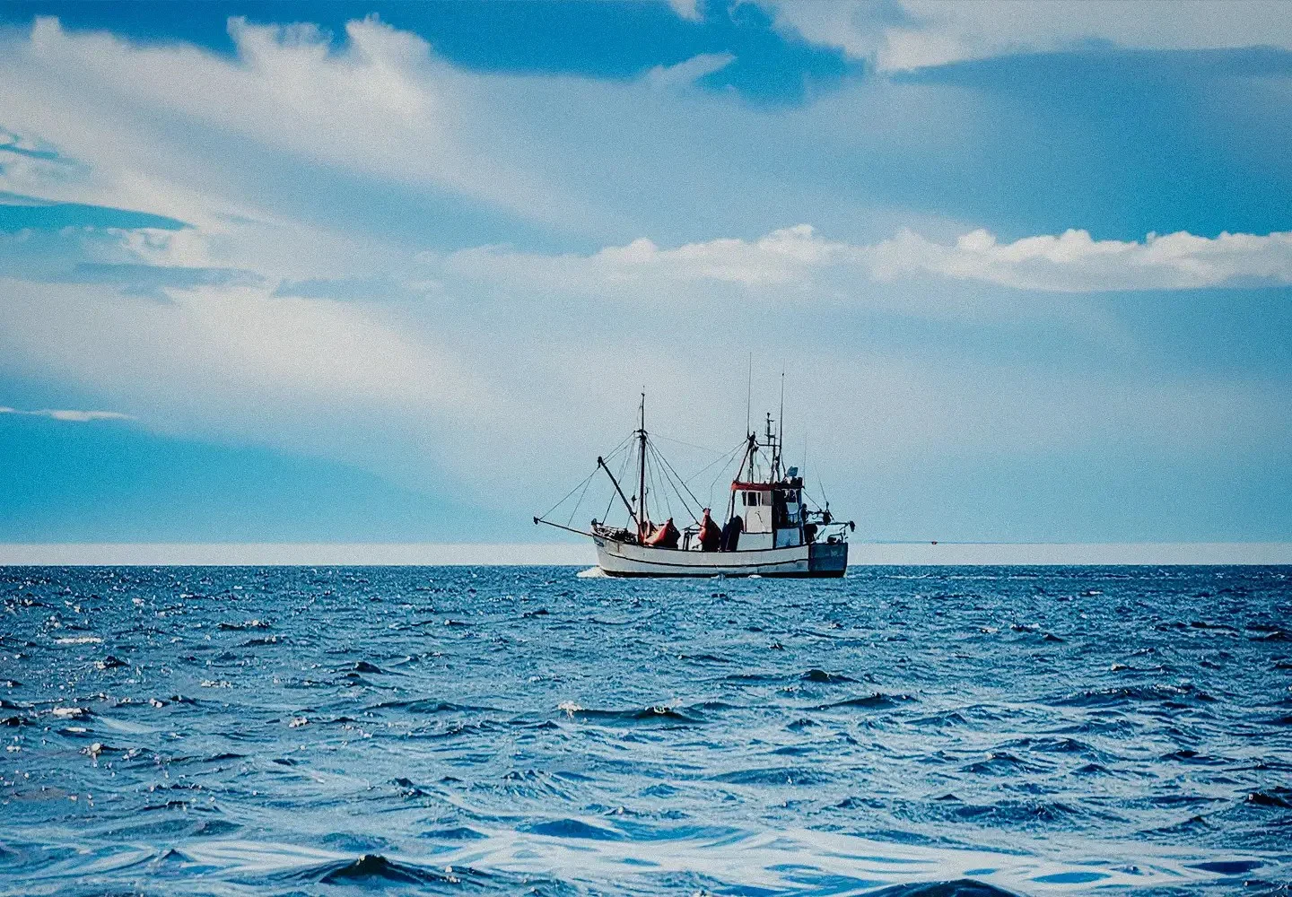 About Afishionado - Afishionado Fishmongers