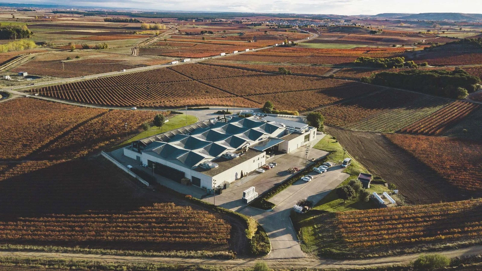 Bodegas Cepa 21
