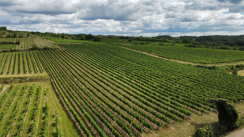 Weingut Setzer