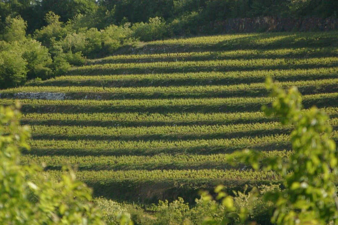 Domaine Bertrand Machard de Gramont