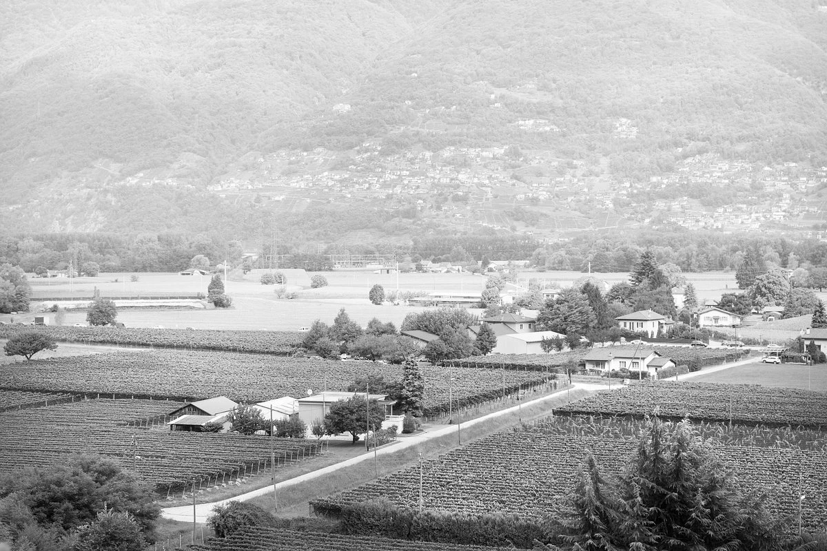 Cantina il Cavaliere