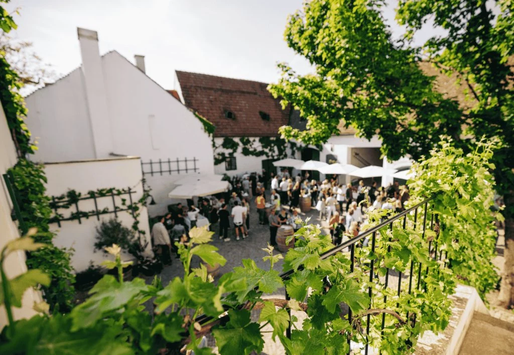Bioweingut Landauer-Gisperg Winzerhof