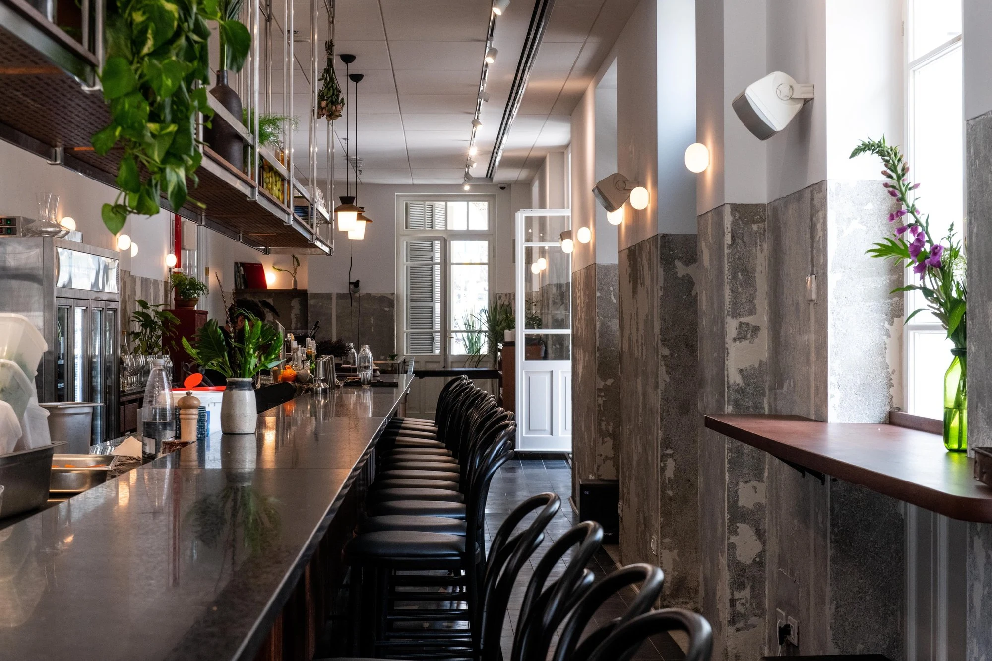 Bar 51