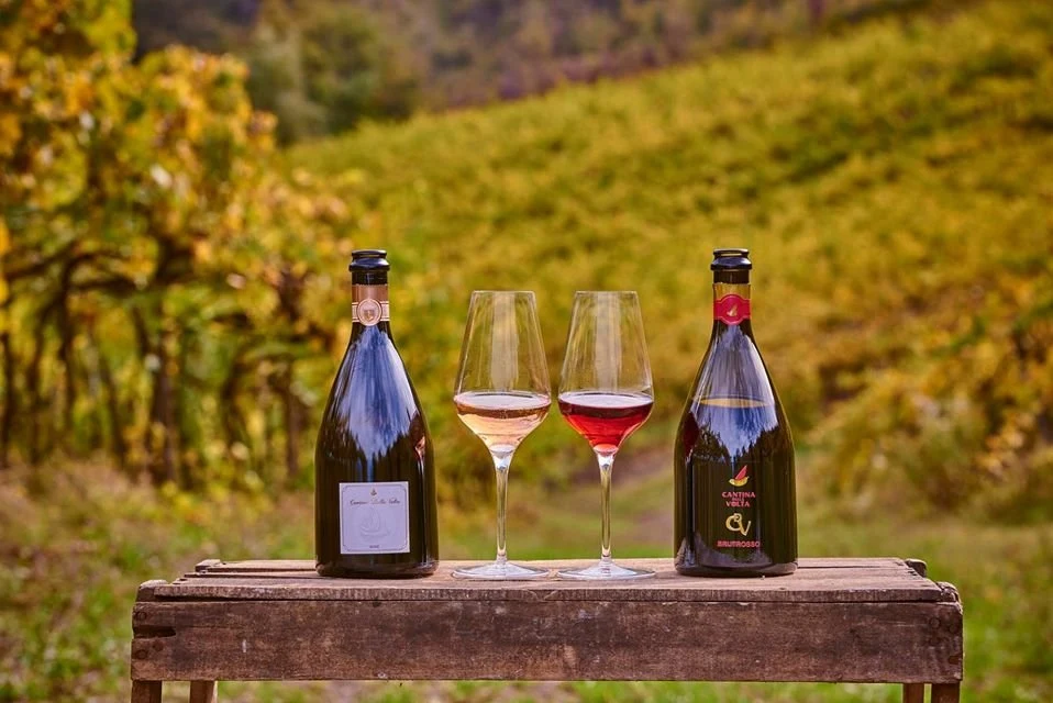 Cantina della Volta