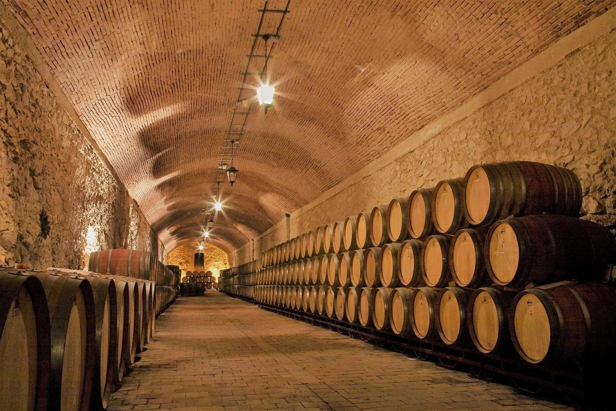 Bodegas Arúspide