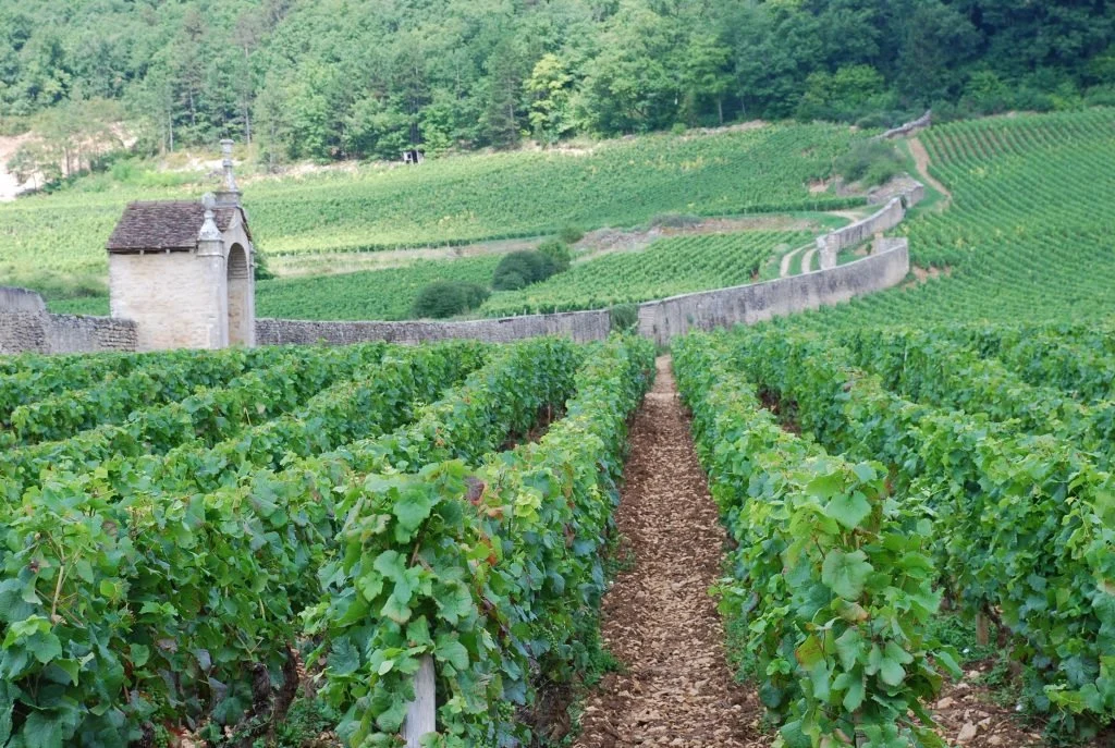 Domaine Dominique Gallois