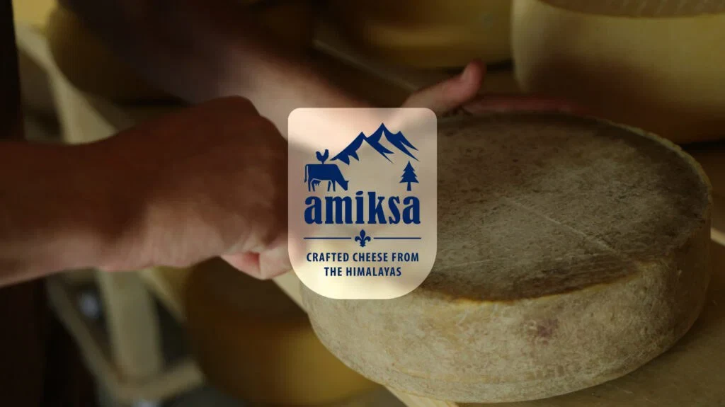 Amiksa cheese started in late 2019, is located in Mashobra valley amidst the undulating hills and green farms. Every morning, the villagers milk their grass-fed cows by hand and the fresh local milk is brought to the unit where the process of cheese making starts immediately. We,