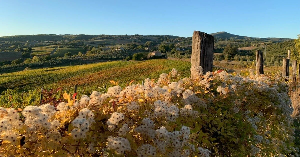 Castello di Corbara