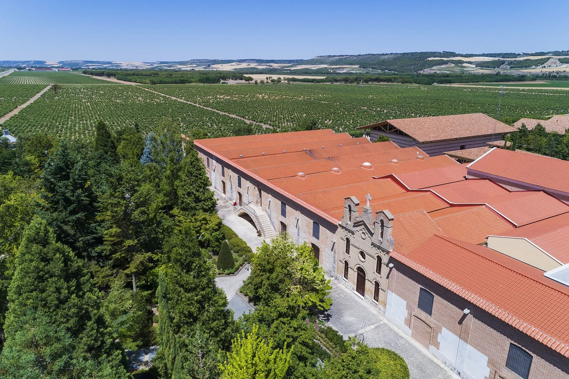 Bodegas y Viñedos Muñoz