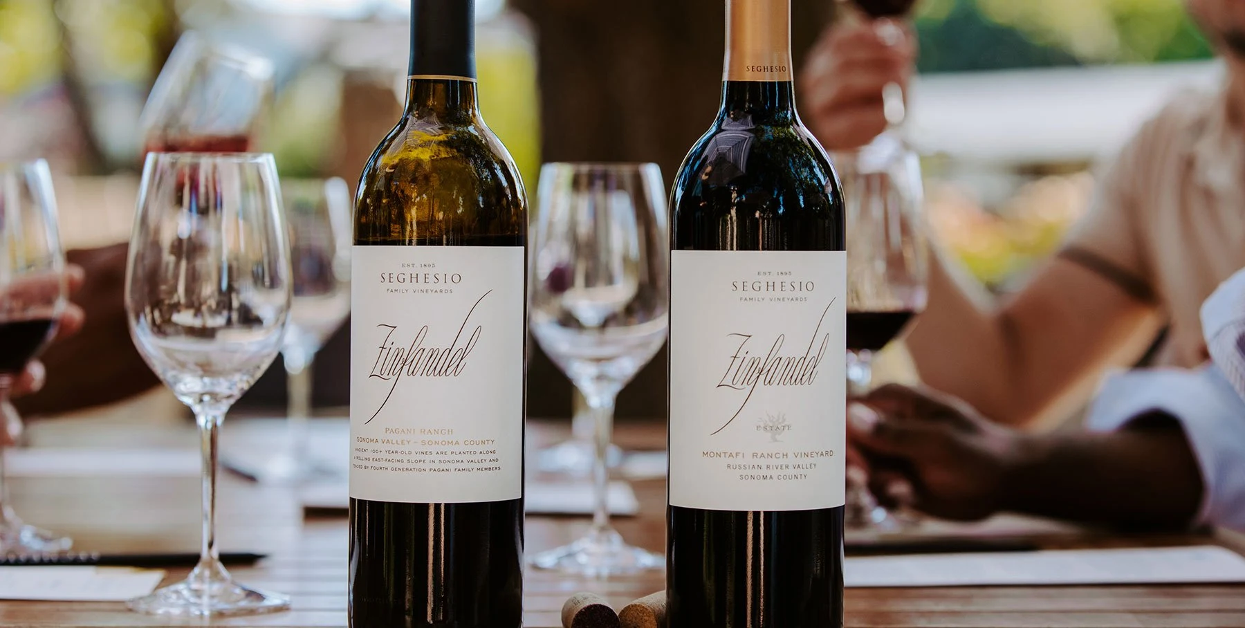 Seghesio Family Vineyards