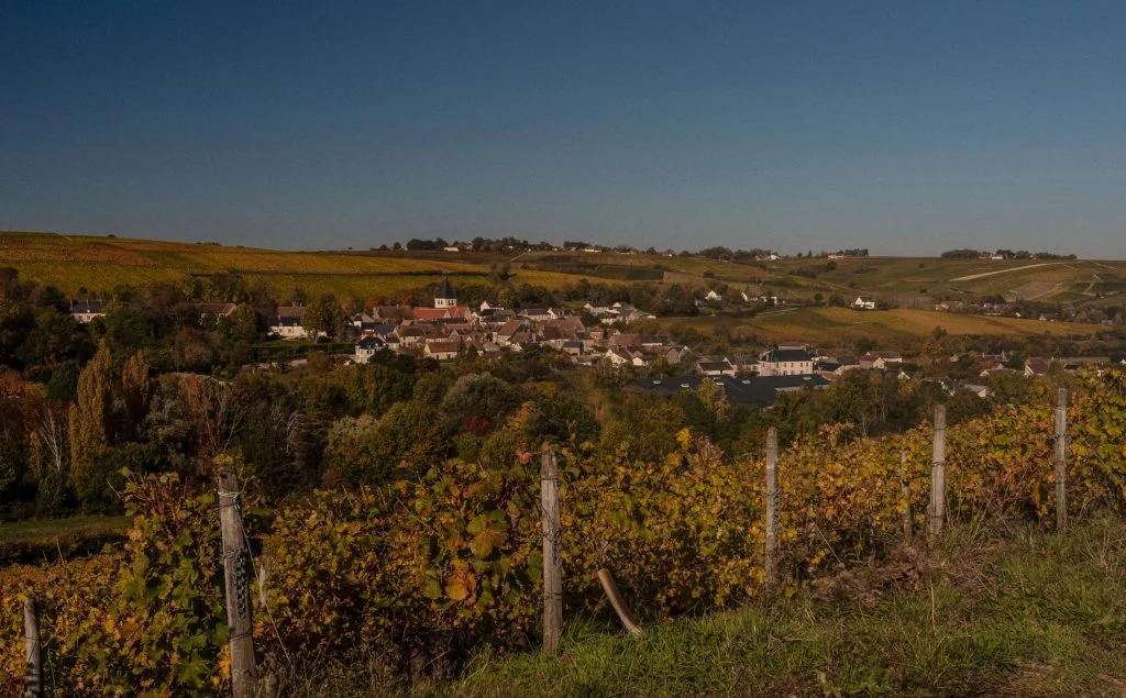 Domaine Vincent Gaudry
