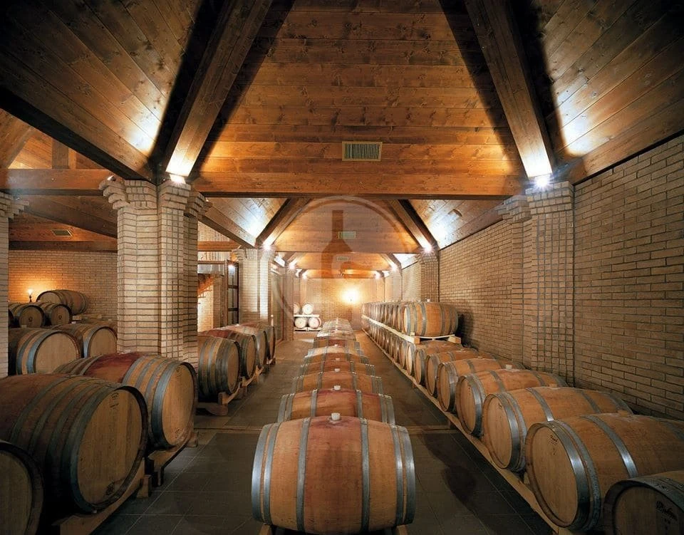 Cantine Agriverde