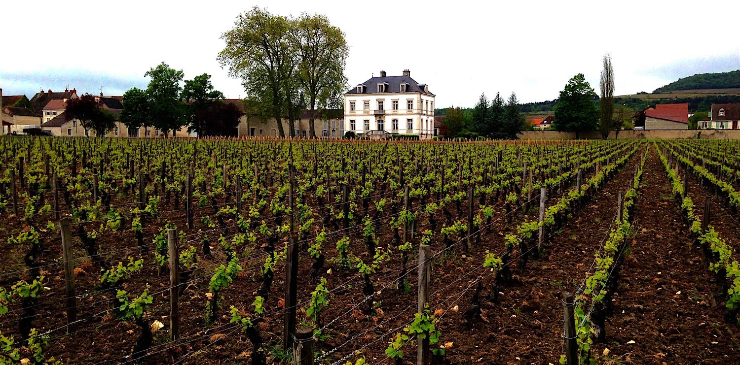 Domaine de Montille