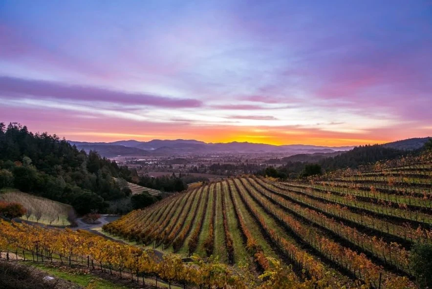 Blackbird Vineyards