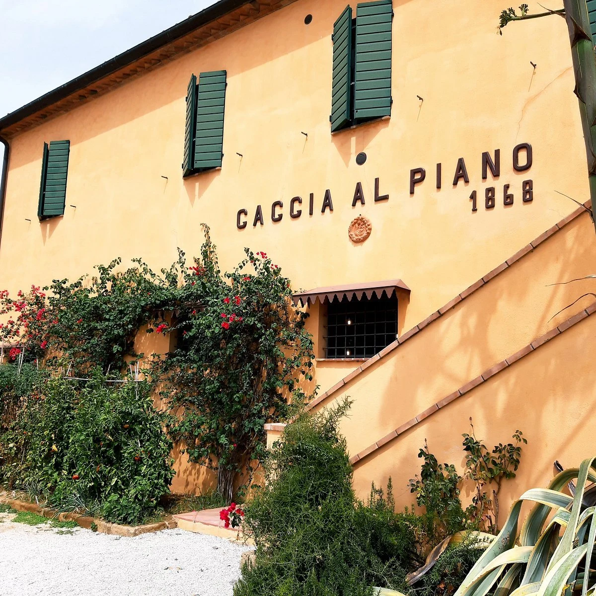 Caccia Al Piano