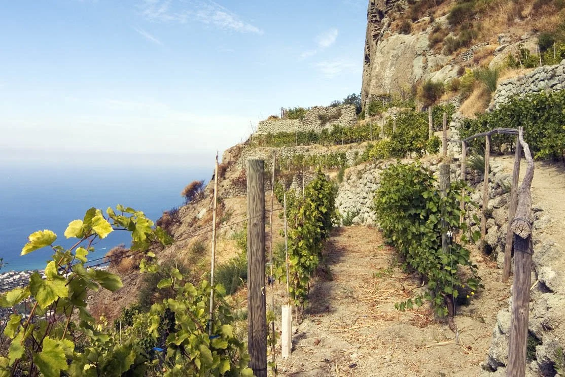 Casa d'Ambra