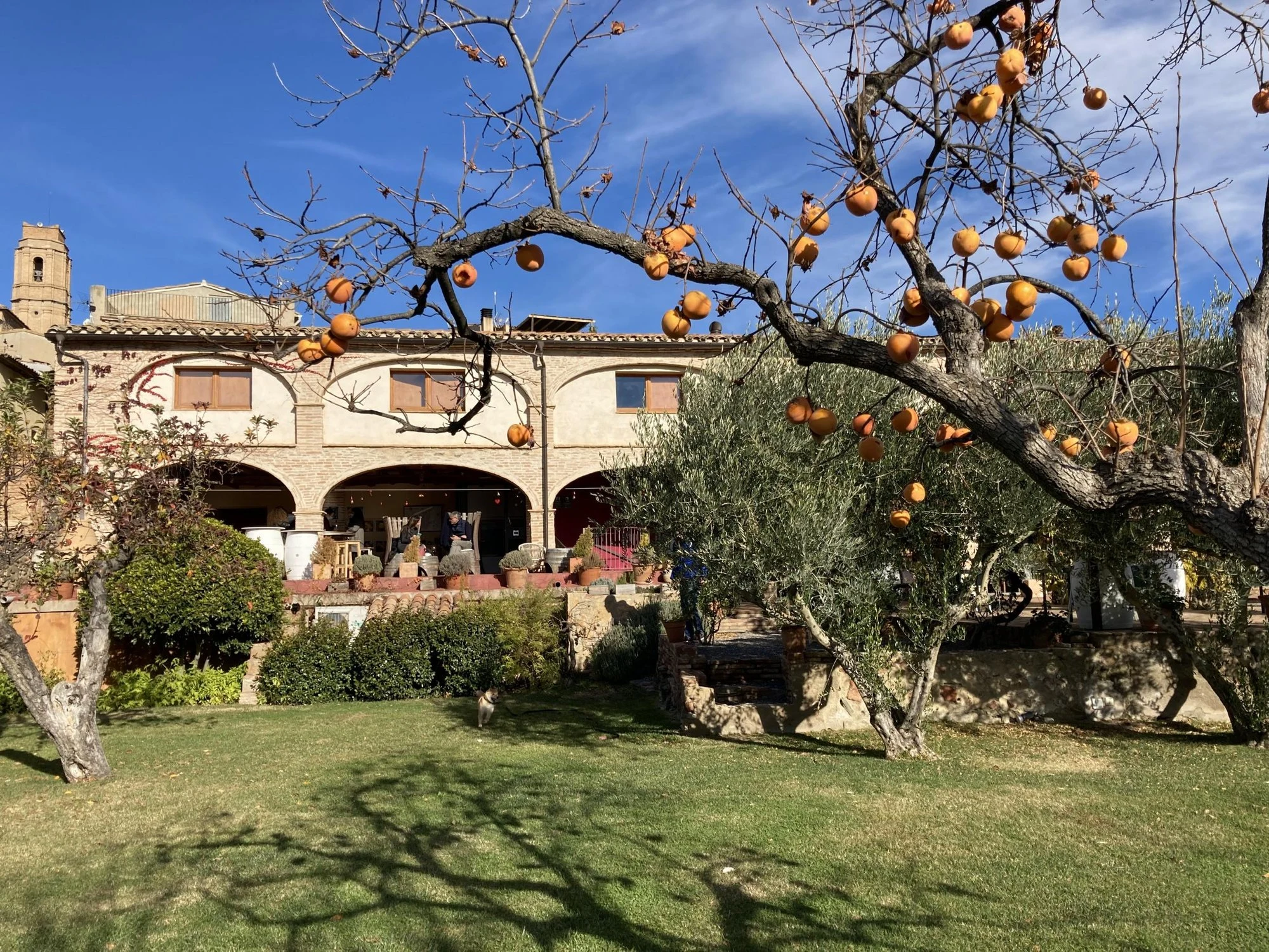 Clos Figueras