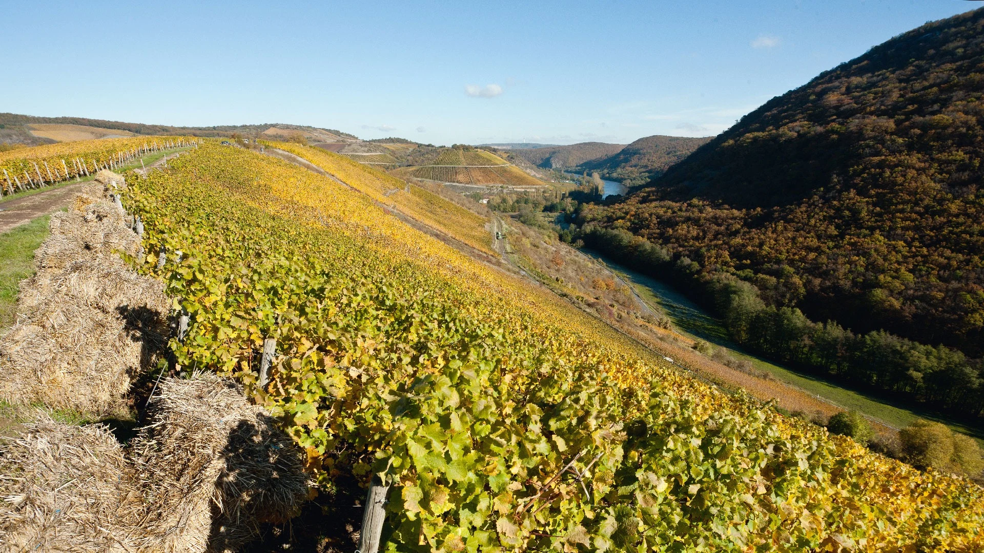 Weingut Hermann Dönnhoff