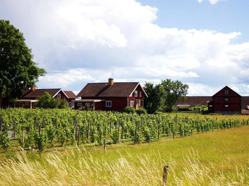 Weingut Heinrich Hartl