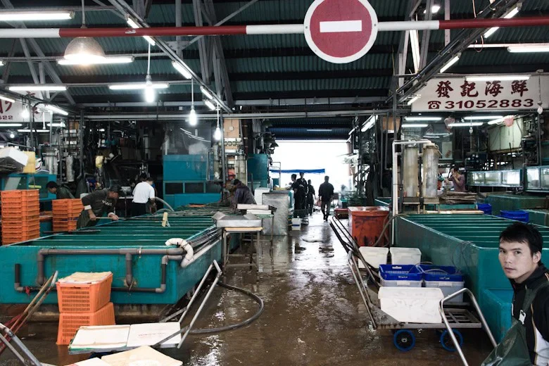 Aberdeen Wholesale Fish Market producer profile
