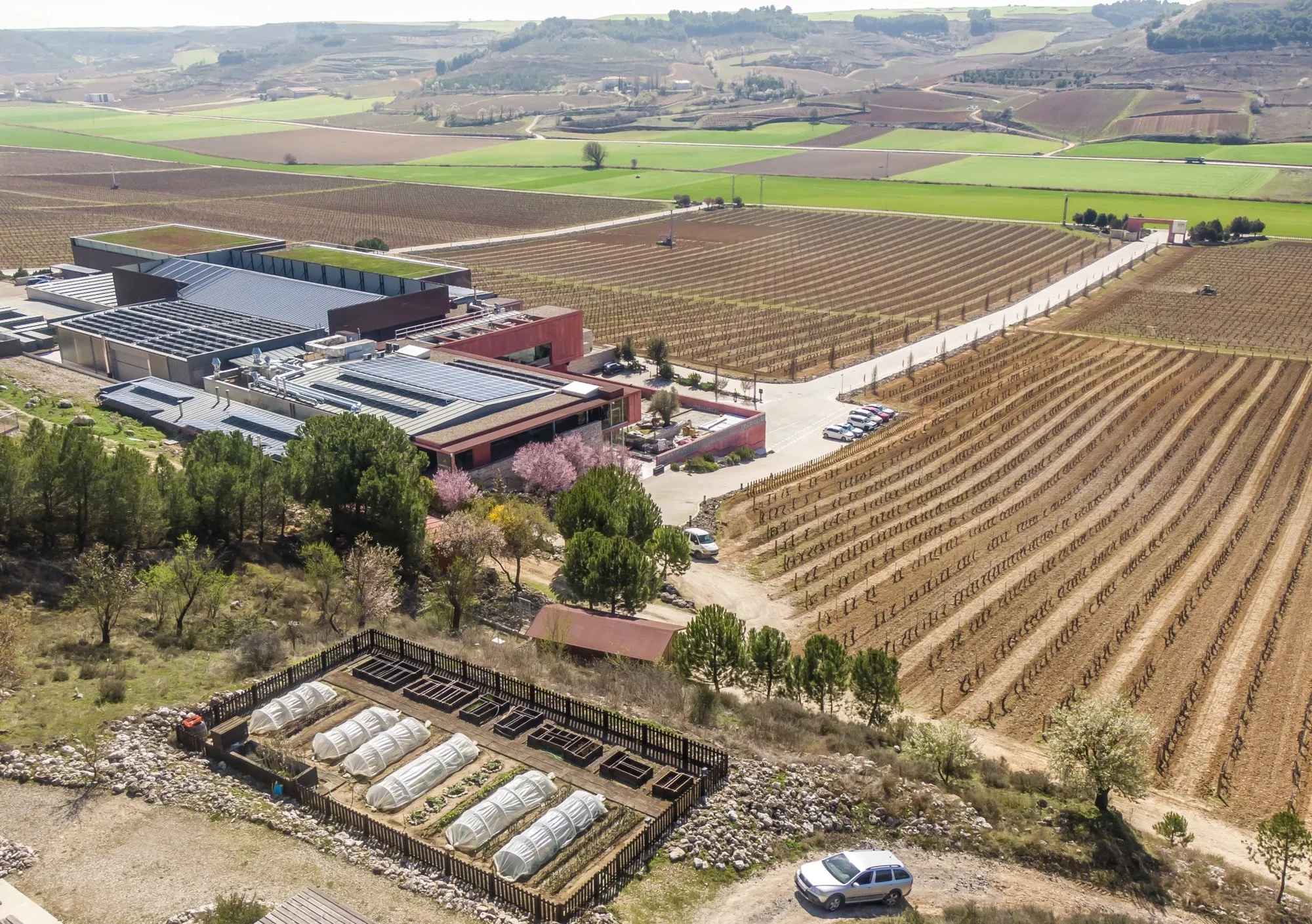 Bodegas Valdemonjas