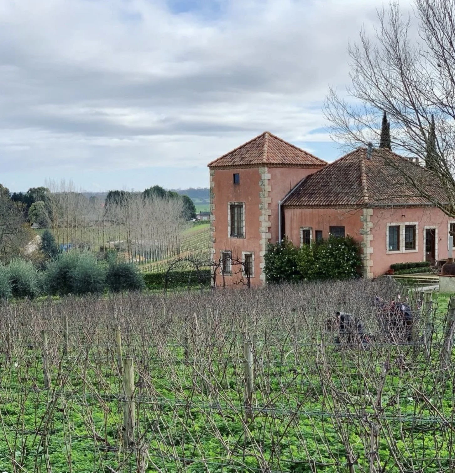 Picardy Wines