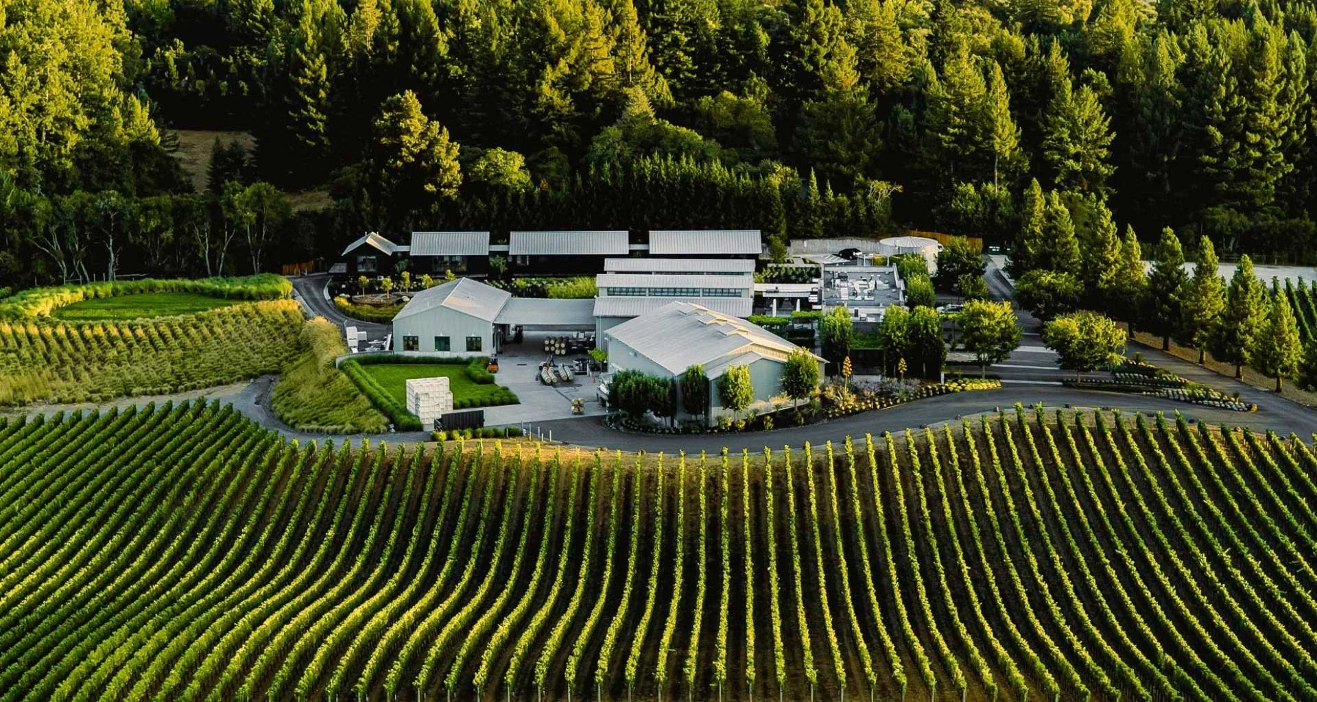 Paul Hobbs Winery