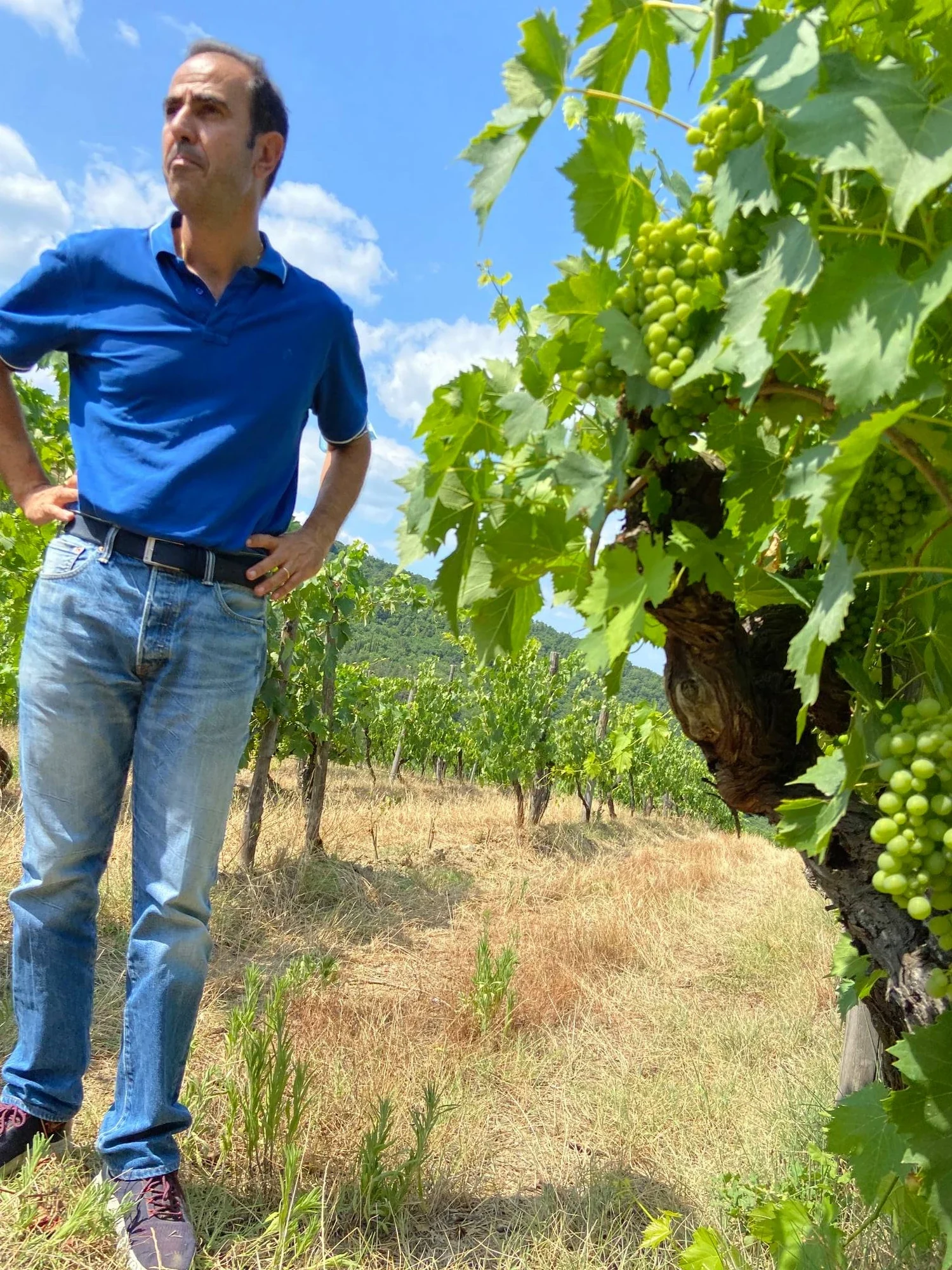 Maurizio Alongi