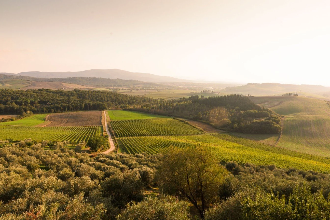 Tenuta di Bibbiano