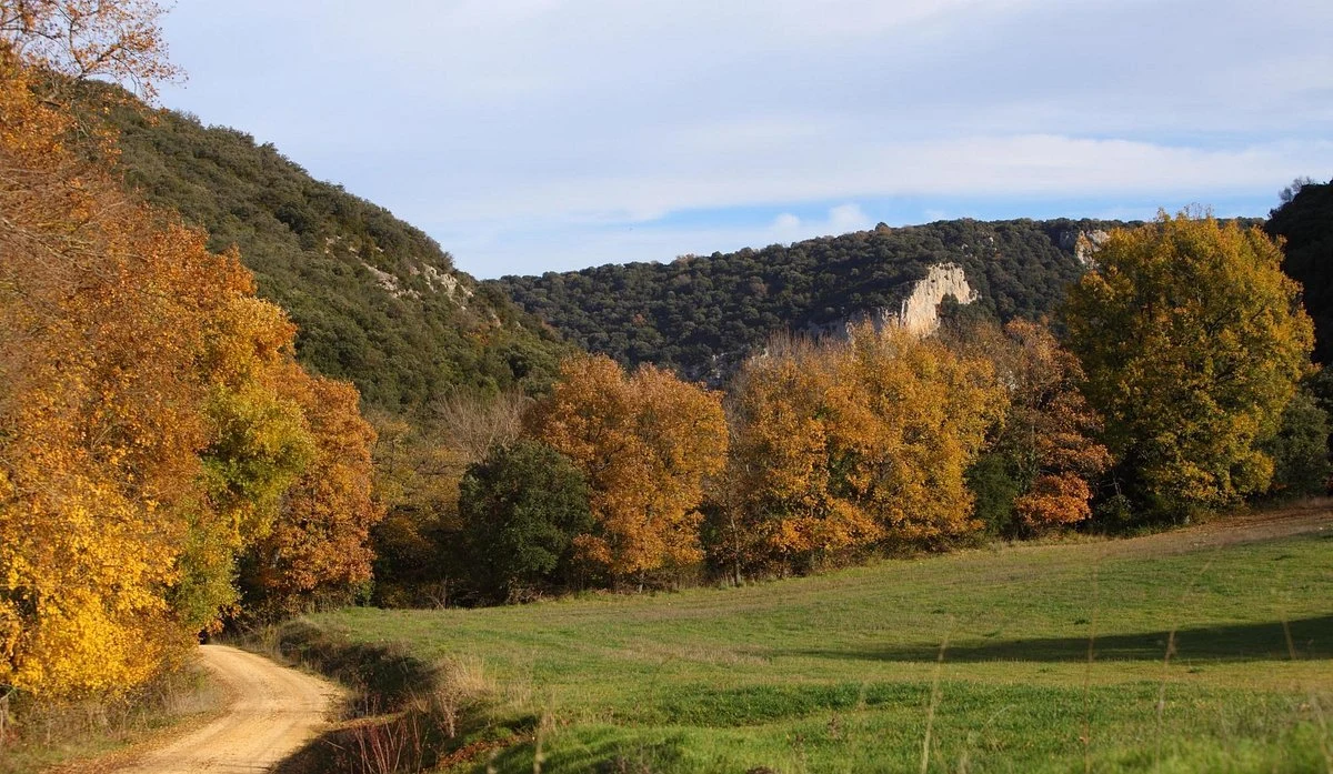 Bodegas de la Marquesa Valserrano