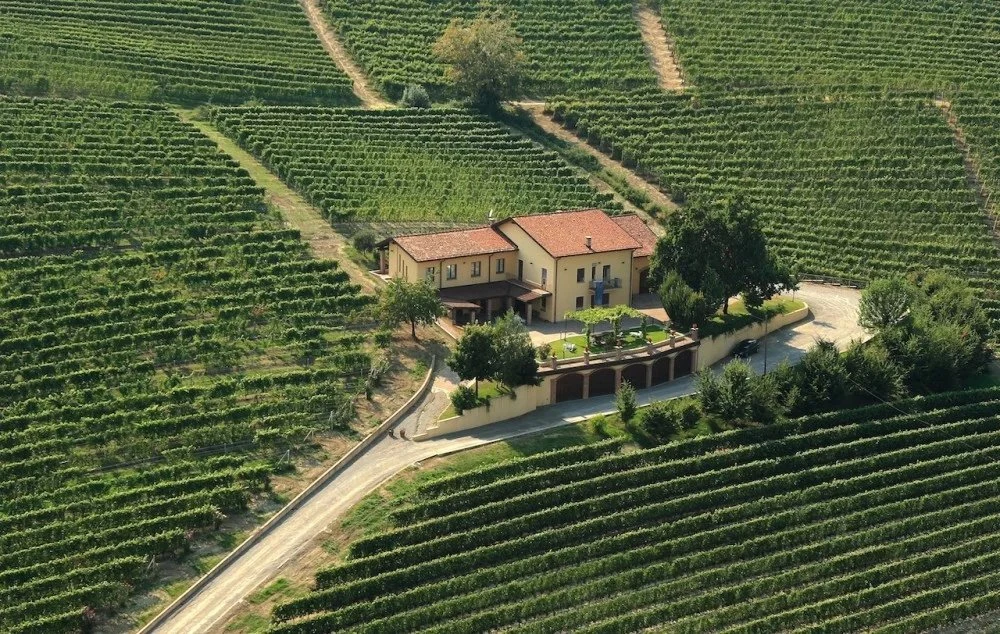 Cantina Novello